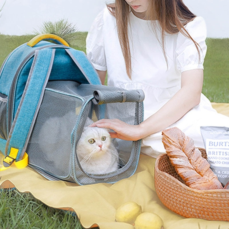 Foldable Transparent Mesh Window Pet Backpack with Inner Safety Leash