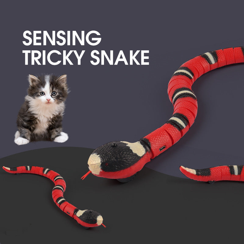 Smart Sensing Interactive Cat Toys