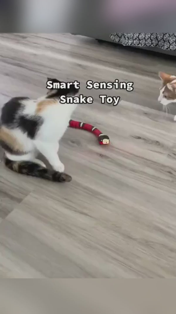 Smart Sensing Interactive Cat Toys